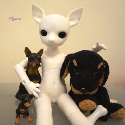 Mimi x Hujoo 28cm Dog Bjd Body Albu Min Pin Doll White ALBU-WHE 